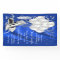 Womans Royal Blue and Silver Birthday Party