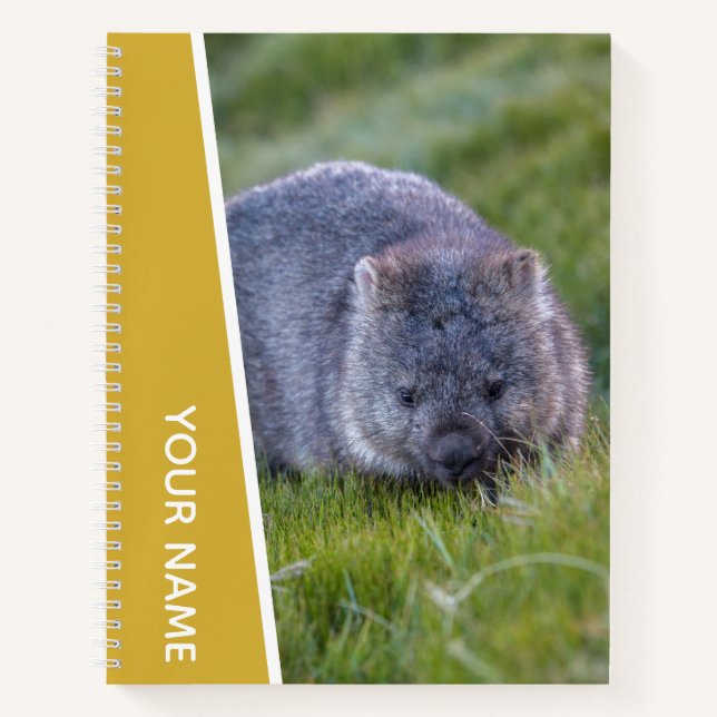 Wombat Australia Cute Animal, Gold Notebook (Front)