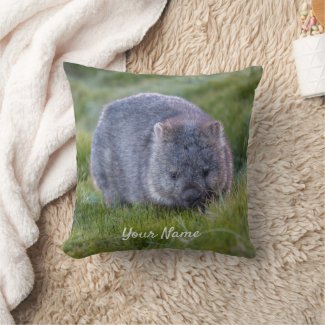 Wombat Australia Cute Animal Photo