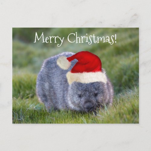 Wombat Australia Red Santa Hat Merry Christmas Postcard