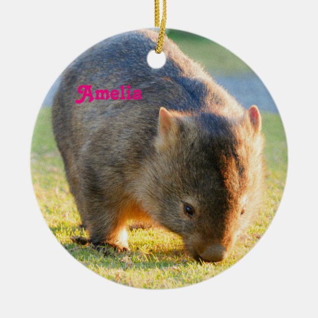 Wombat Fun Cute Australian Nature Photography Ceramic Ornament (Front)