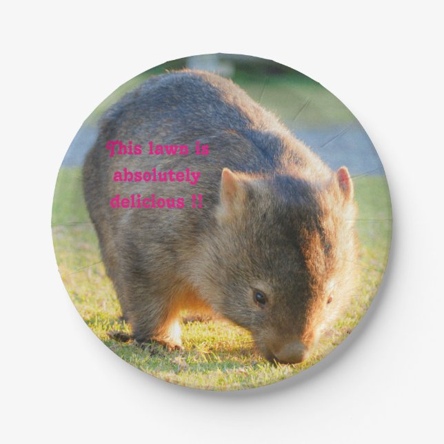 Wombat Funny Cute Australian Nature Photography Paper Plates (Front)