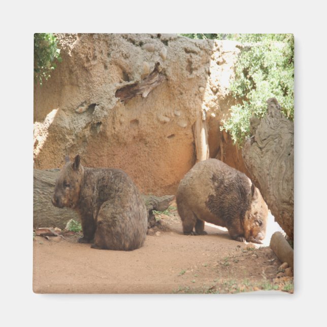 Wombat Heaven Magnet (Front)