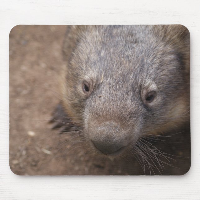 Wombat Kiss Mouse Pad (Front)
