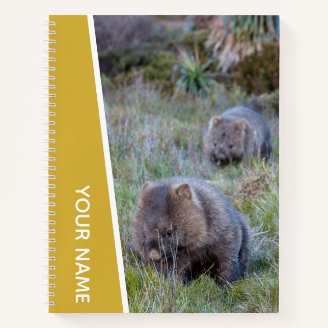Wombat Love Australia Cute Animal, Gold Notebook (Front)