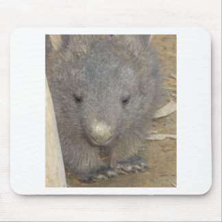 Wombat Mouse Pad