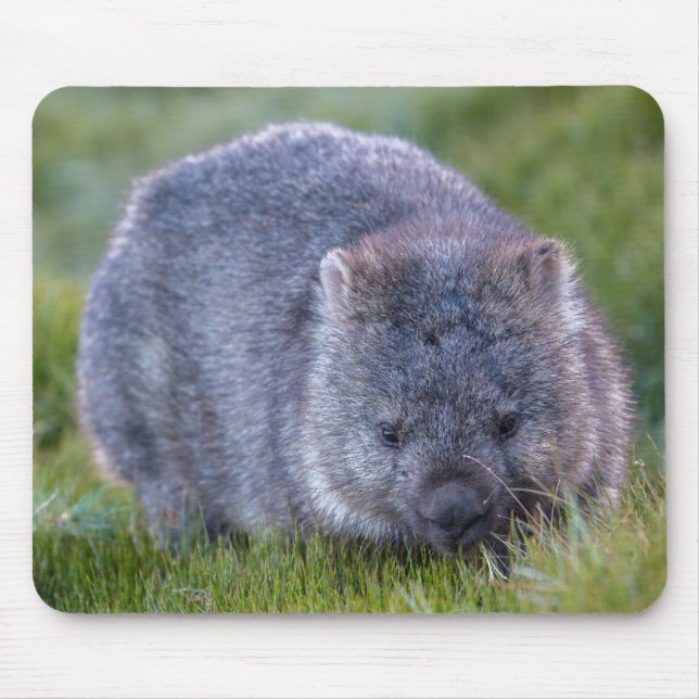 Wombat Mouse Pad (Front)