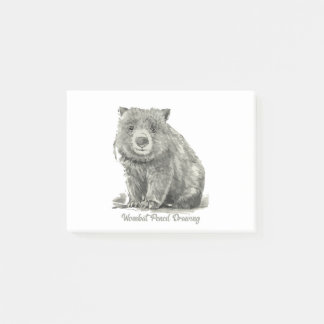 Wombat Pencil Drawing Notes