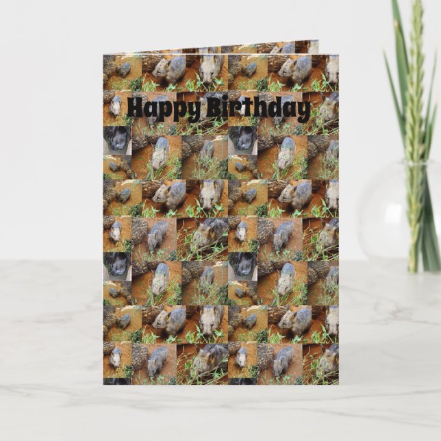 Wombat Photo Collage, Birthday Card (Front)
