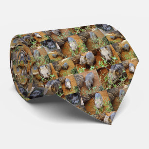 Wombat Photo Collage, Neck Tie