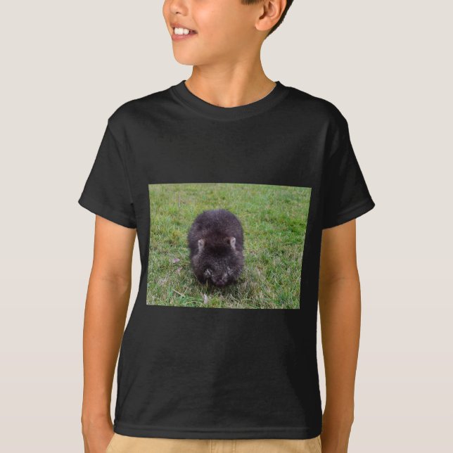 WOMBAT TASMANIA AUSTRALIA T-Shirt (Front)