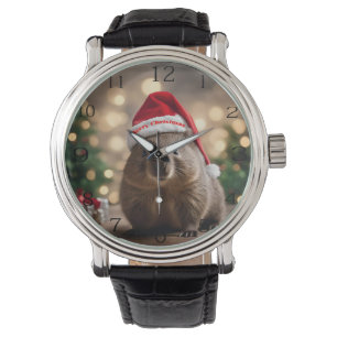 "Wombat Wonderland: A Cozy Christmas Eve" Watch