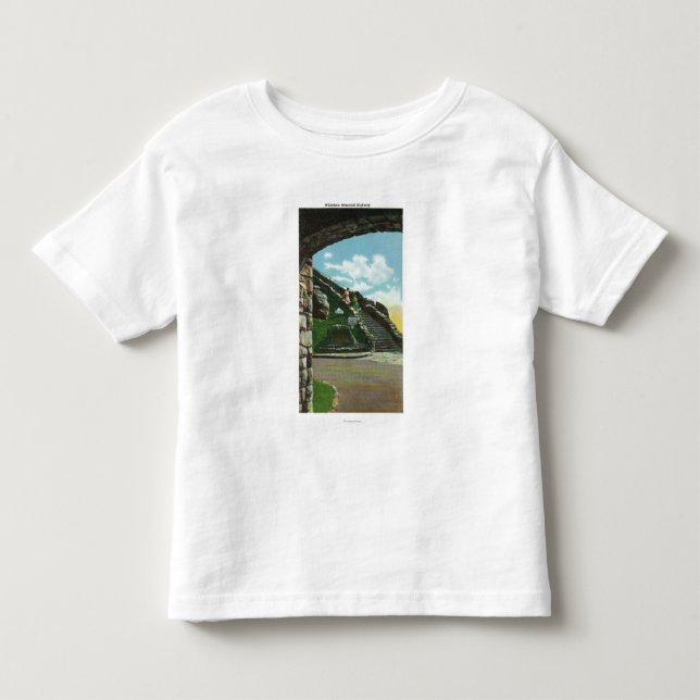 Women Descending Stairway from Summit Toddler T-shirt (Front)