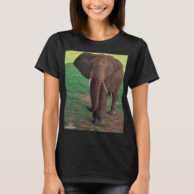 Women’s Basic T-Shirt – African Elephant Portrait (Front)