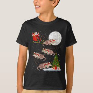 Womens Armadillo Santa Sleigh Flying Funny Magical T-Shirt