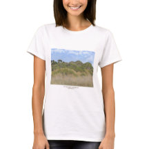 Women's Basic T-Shirt