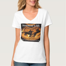 Women's Basic V-Neck T-Shirt