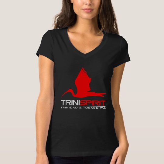 Women's Bella Jersey V-Neck T-Shirt