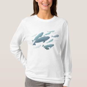 Women's Beluga Whale Hooded T-shirt Whale Hoodie