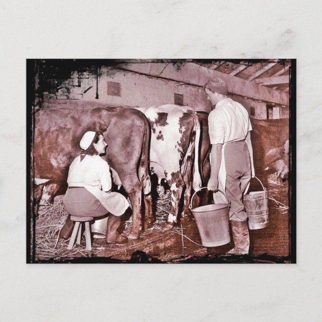 Women's Land Army DAIRY WWII Postcard (Front)