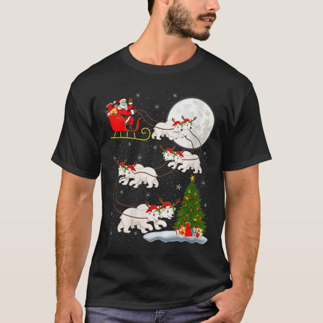 Womens Lar Bear Santa Sleigh Flying Funny Magical  T-Shirt (Front)