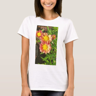 Womens New Look Tshirts and more
