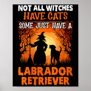 Women's not witches have cats some have a labrador poster