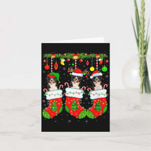 Womens Saint Bernard Dog In Christmas Socks Funny Card