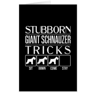 Womens Stubborn Giant Schnauzer Tricks, Funny Card