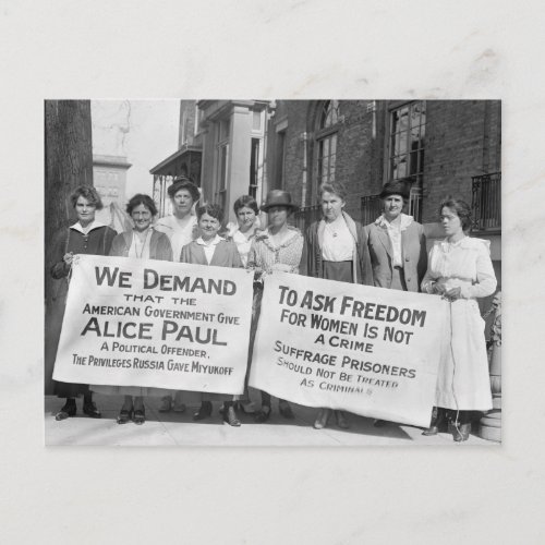 Womens Suffrage Pickets 1917 Postcard