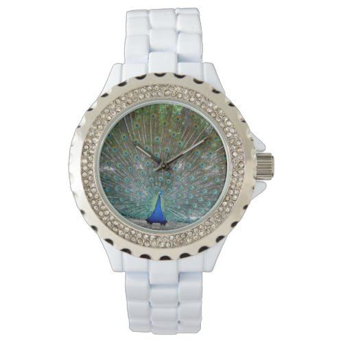 Womens White Rhinestone Open Winged Peacock Watch