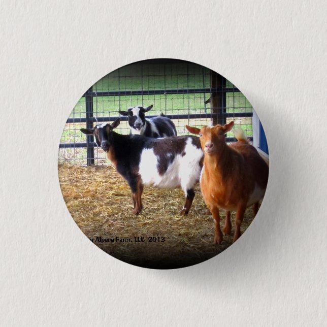 Wonder Goats Pinback Button (Front)