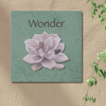 Wonder Sage Green Hand-Drawn Succulent Botanical