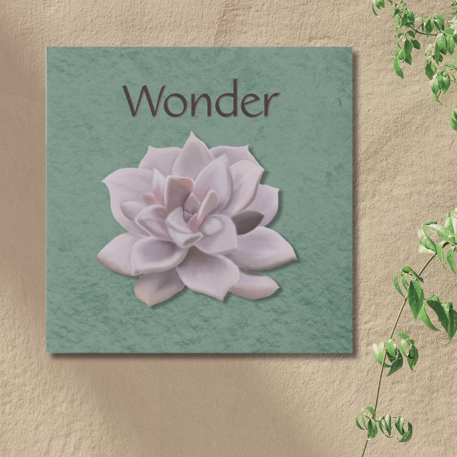Wonder Sage Green Hand-Drawn Succulent Botanical Faux Canvas Print (Creator Uploaded)