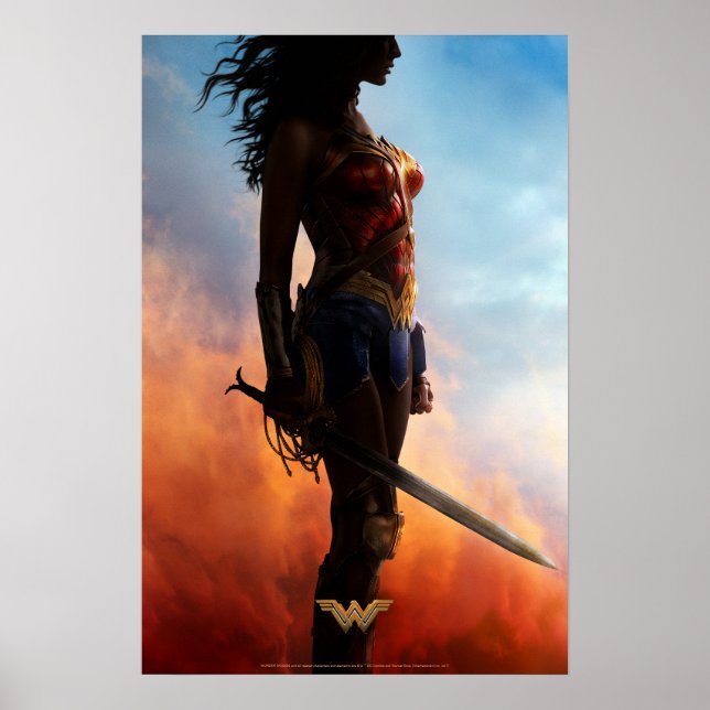 Wonder Woman Duststorm Silhouette Poster (Front)