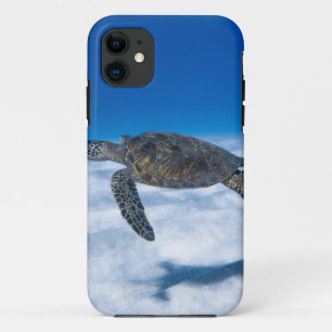 Wonderful Aquatic Turtle iPhone 11 Case
