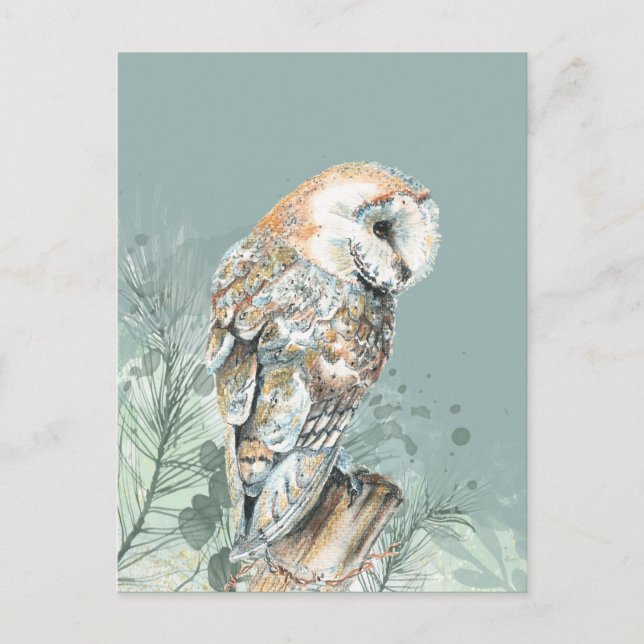  Wonderful Barn Owl Bird Wildlife Nature Art  Postcard (Front)