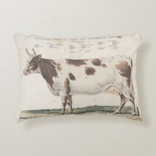 Wonderful & beautiful vintage cow pillow. accent pillow
