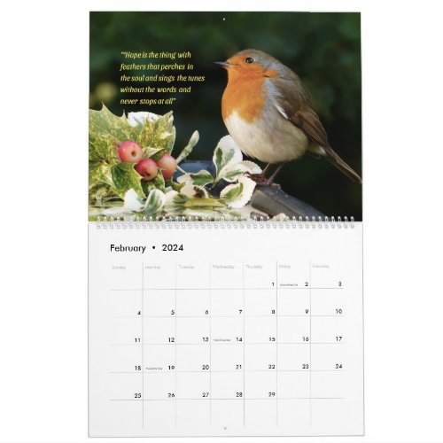 Wonderful birds verses  _ Calendar of 2024