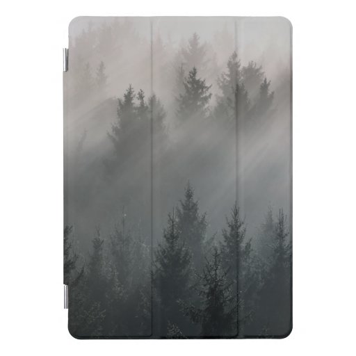 Wonderful black and white dawn mountains iPad pro cover