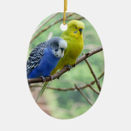 Wonderful Budgie Ceramic Ornament