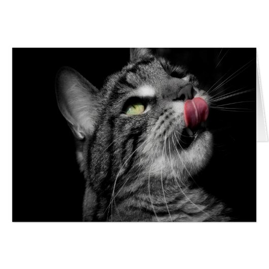 Wonderful Cat Cards (Front Horizontal)