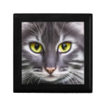 Wonderful cat in portrait  gift box