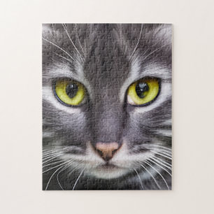 Wonderful cat portrait jigsaw puzzle