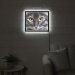 Wonderful cat portrait    LED sign