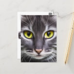 Wonderful cat portrait    postcard