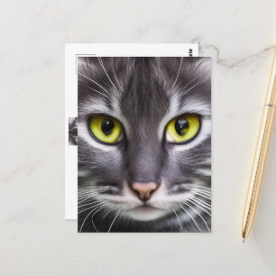 Wonderful cat portrait postcard