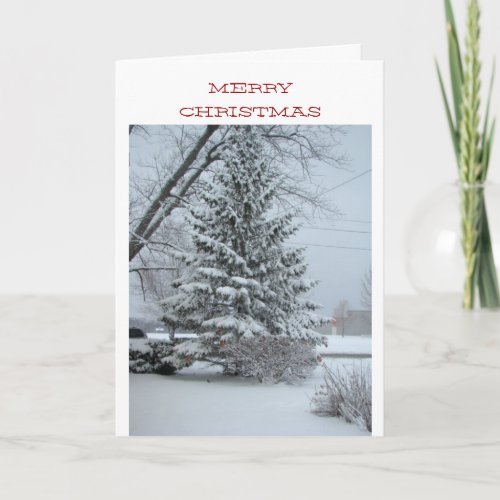 Wonderful Christmas Snowy Pine Tree Holiday Card