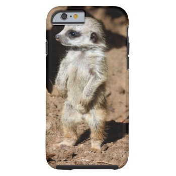 Wonderful Cute Sweet African Meerkat Animal Tough Iphone 6 Case by Wonderful12345 at Zazzle