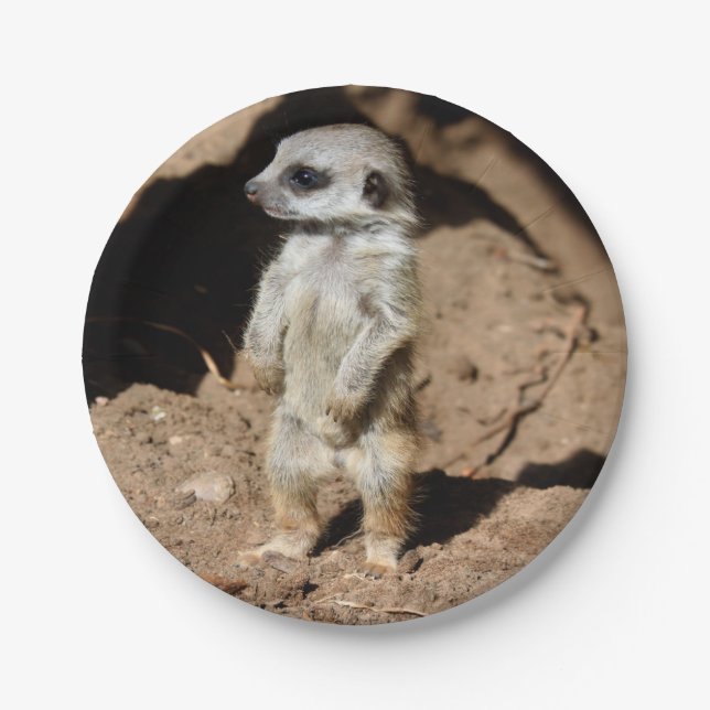 Wonderful Cute Sweet African Meerkat Animal Paper Plates (Front)